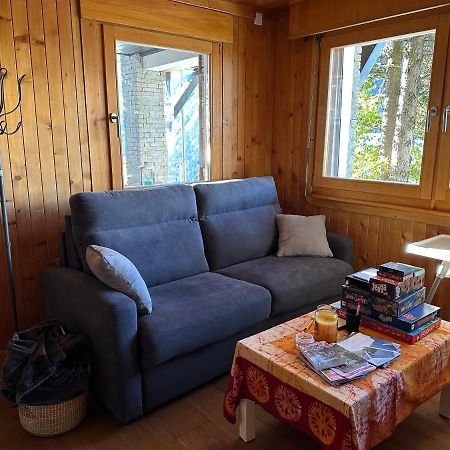 Chalet Edelweiss A Saint-Martin, Val D'Herens 외부 사진