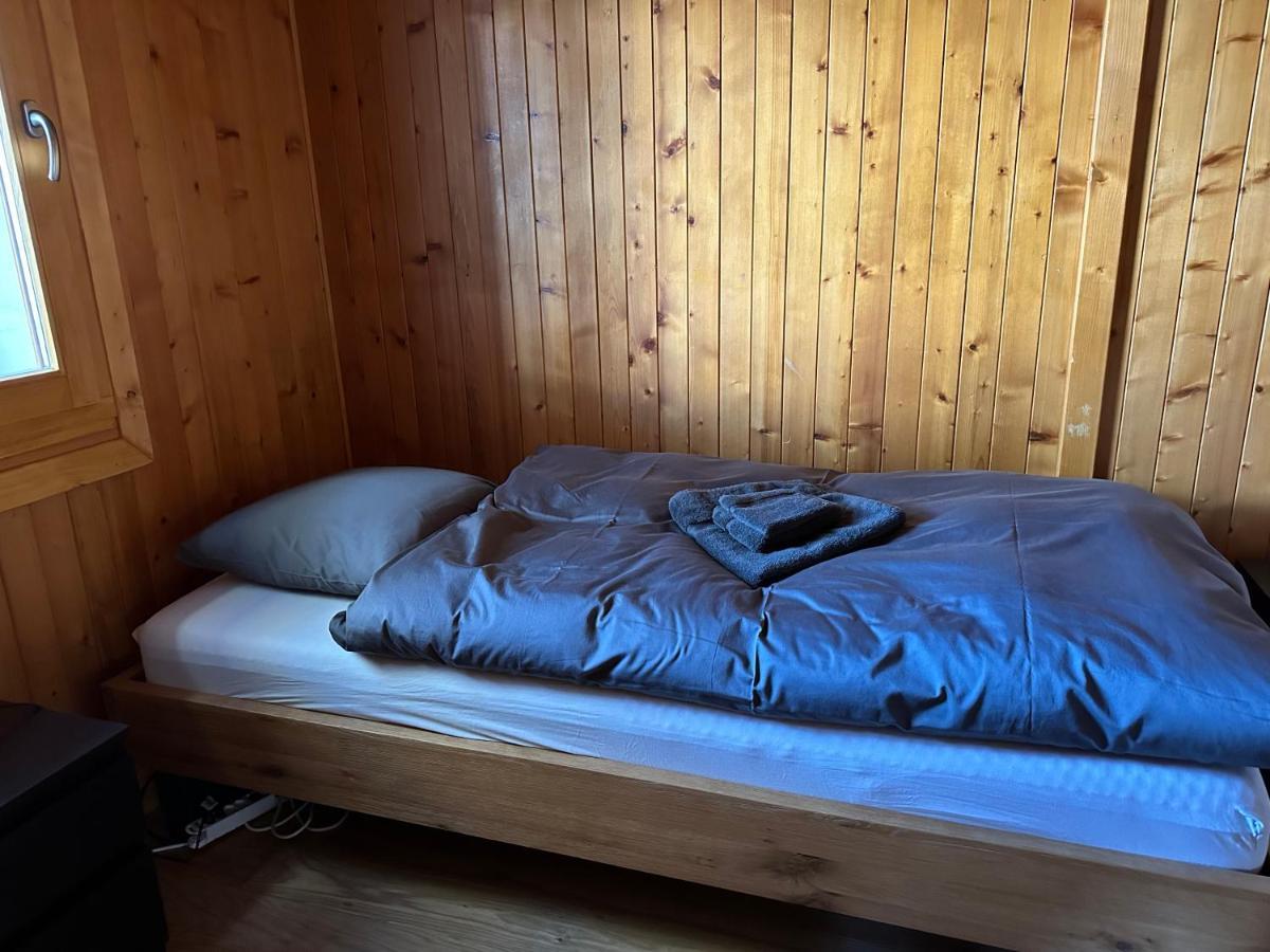 Chalet Edelweiss A Saint-Martin, Val D'Herens 외부 사진